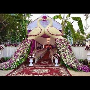 Meet your Posher, Jilma