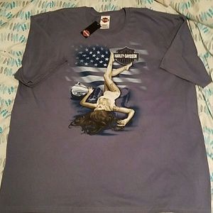 Harley Davidson - Springfield, IL