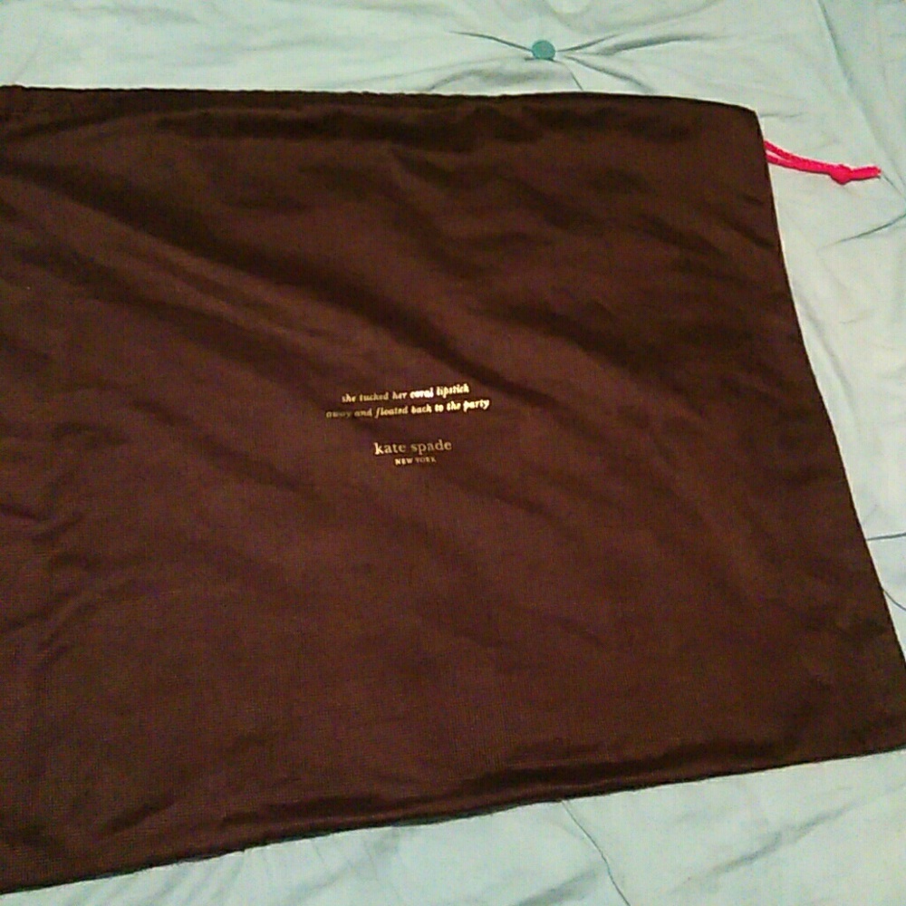 Kate Spade storage bag for large purse