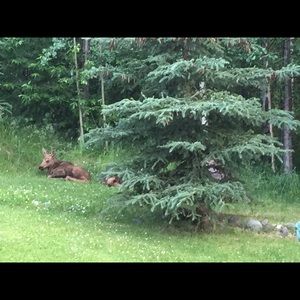 Meet your Posher, Connie