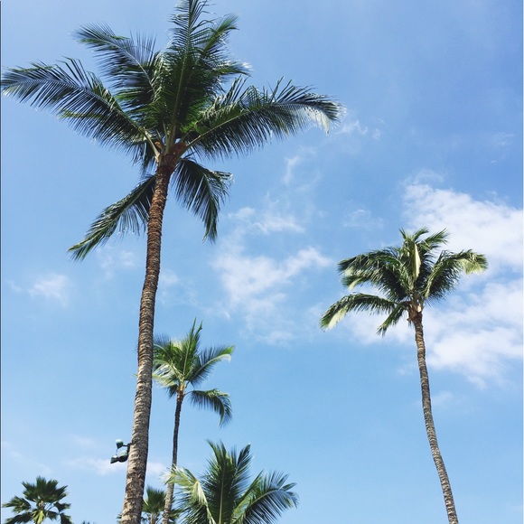 mandy - Picture 1 of 1