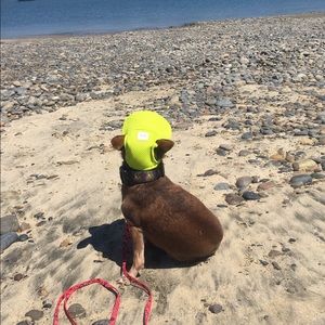 Meet your Posher, Taylor