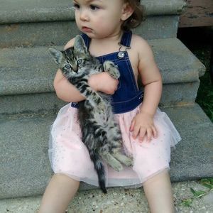 Meet your Posher, Michael