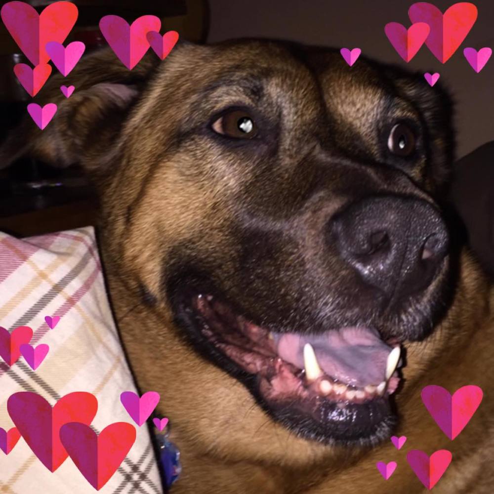 Meet your Posher, Bobbi