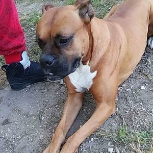 Meet your Posher, Angel