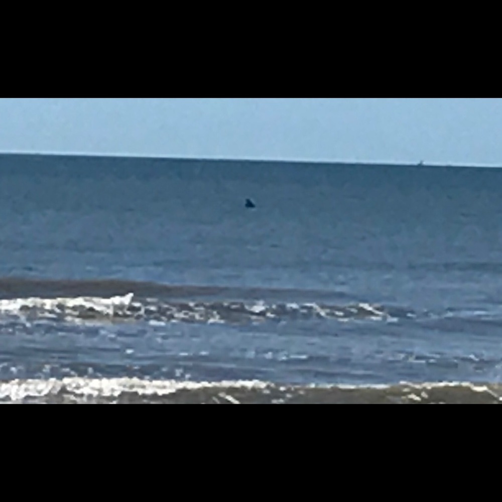 Meet your Posher, Ghuncha