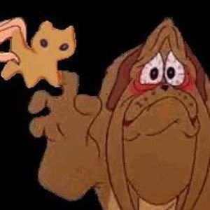 Meet your Posher, Carolyn