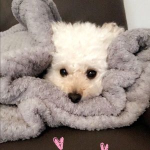 Meet your Posher, Monica