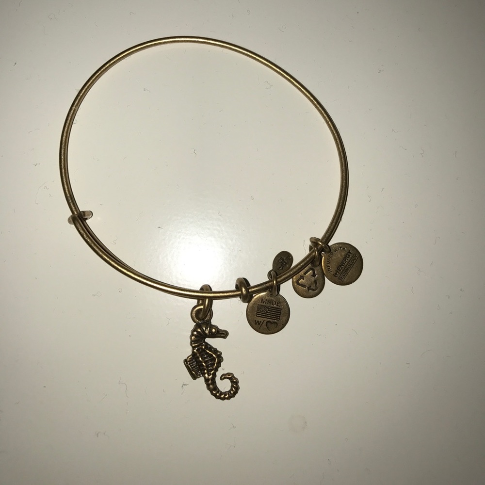 Seahorse Alex and Ani