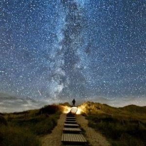 Meet your Posher, Matthew