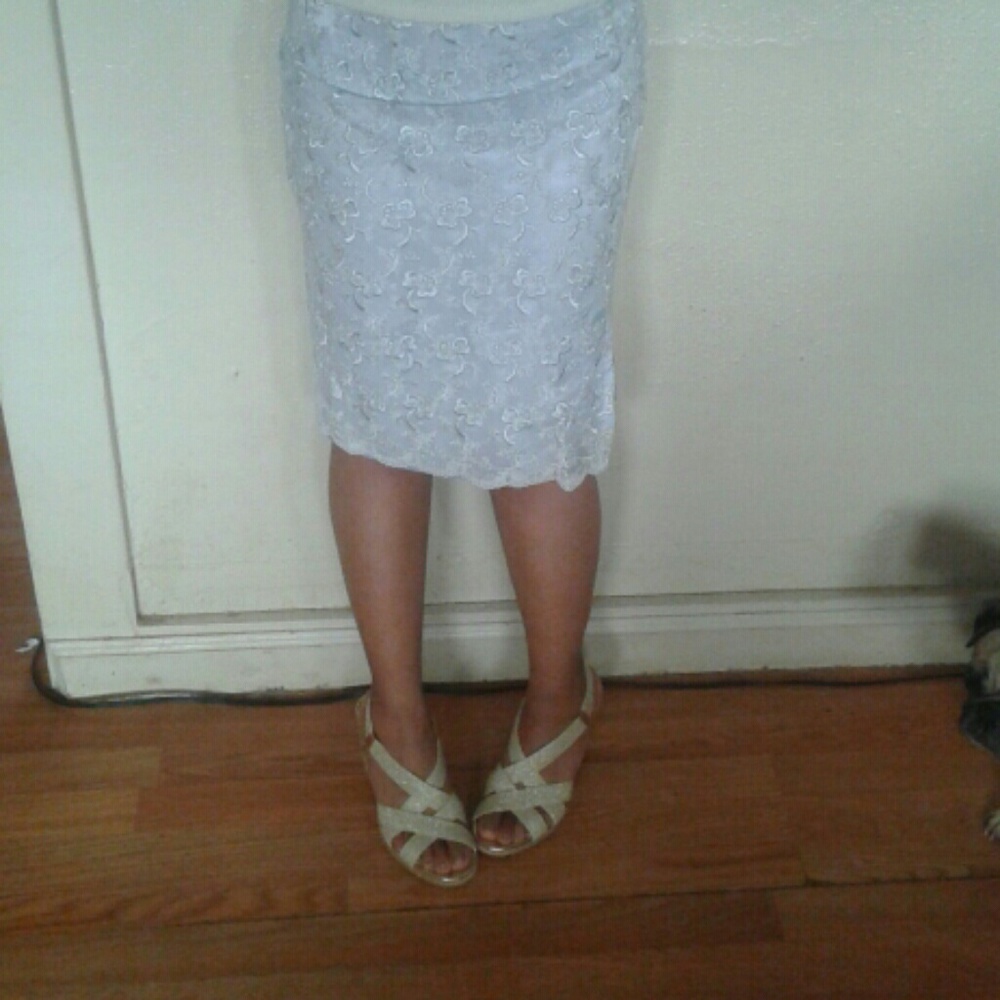 Very Elegant Knee length Lace Skirt