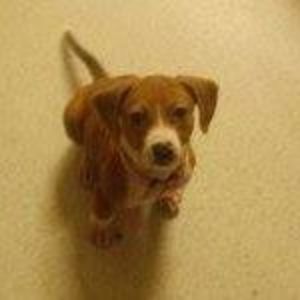 Meet your Posher, Mary