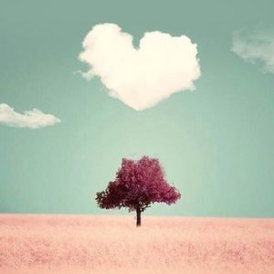 Meet your Posher, Sehee