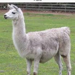 Meet your Posher, Lala