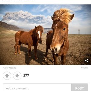 Meet your Posher, Marisa