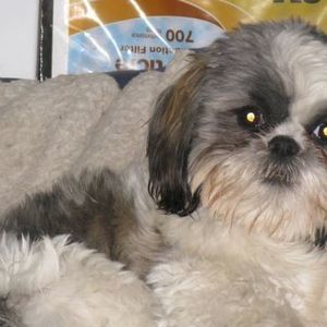 Meet your Posher, Sharon