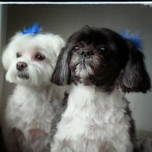 Meet your Posher, Cindy