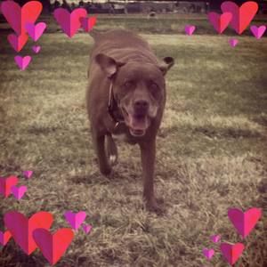 Meet your Posher, Whitney