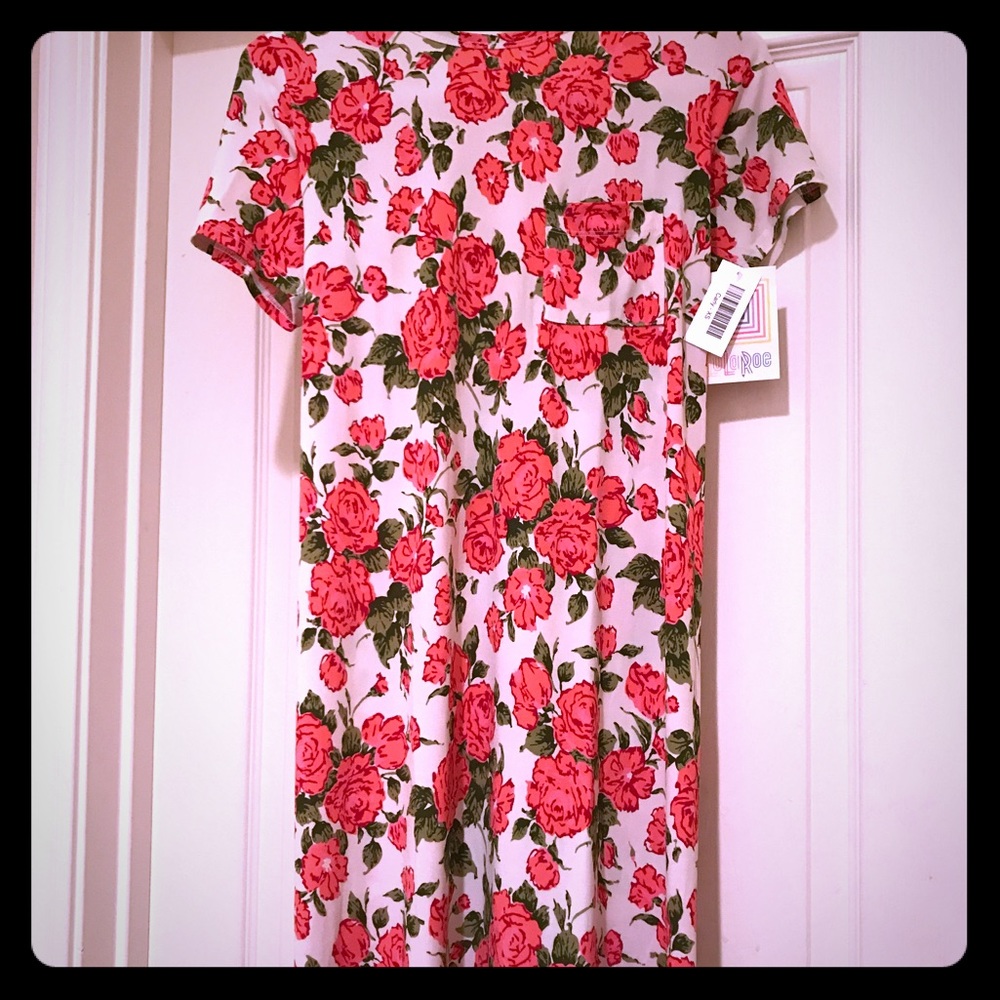 🐰Easter sale!  NWT XS Gorgeous Floral Carly.