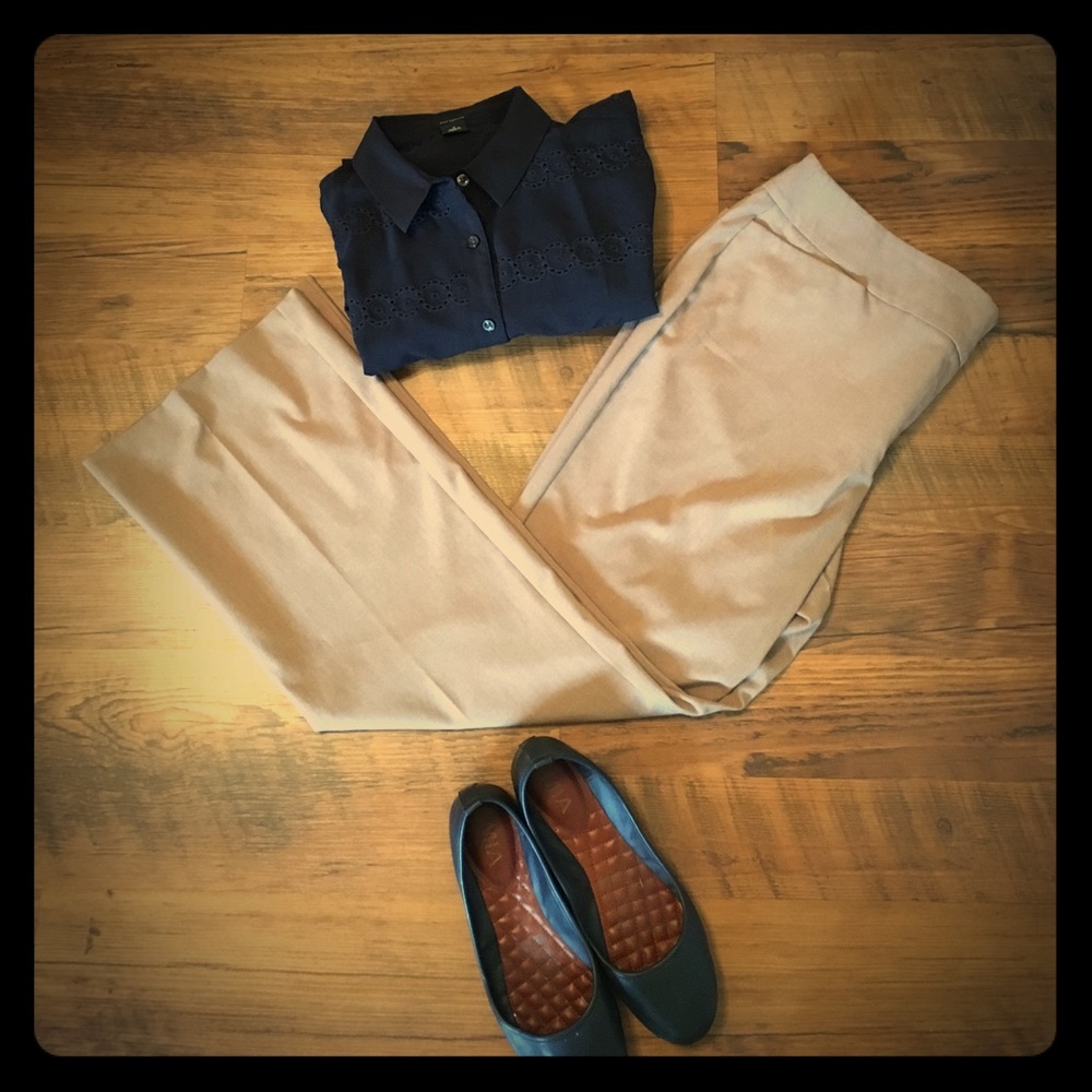 Ann Taylor Curvy Petite Trouser Pant