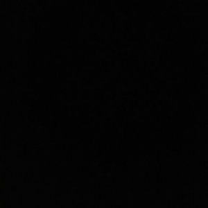 Meet your Posher, Darrell