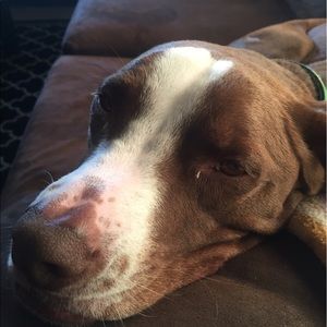 Meet your Posher, Cody