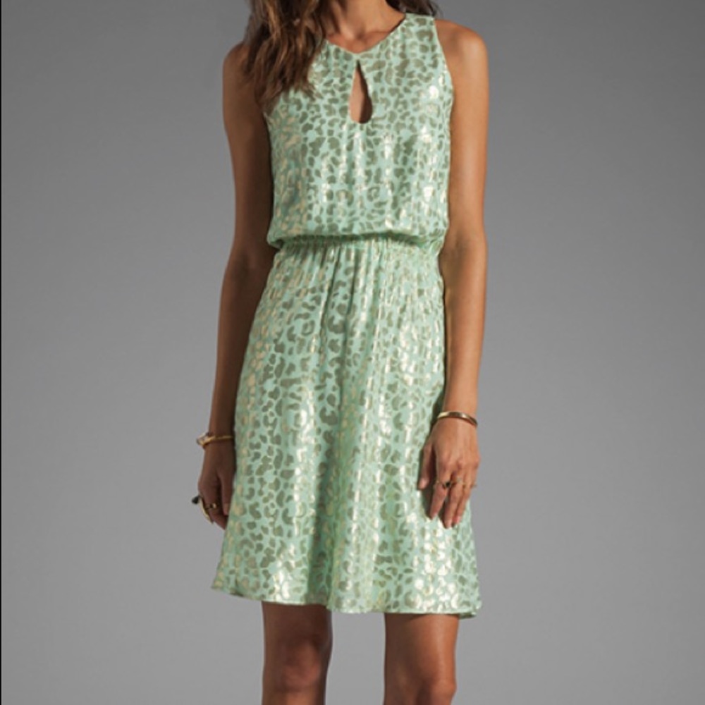 Stunning mint green silk dress