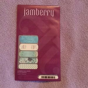 Jamberry Disney's Frozen design