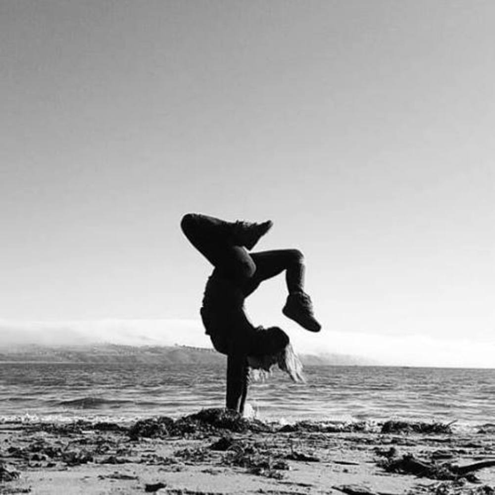 Meet your Posher, Shelby