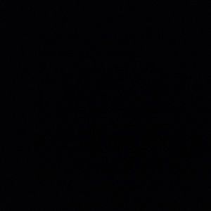 Meet your Posher, Oscar