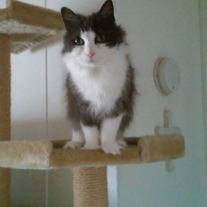 Meet your Posher, Yvonne