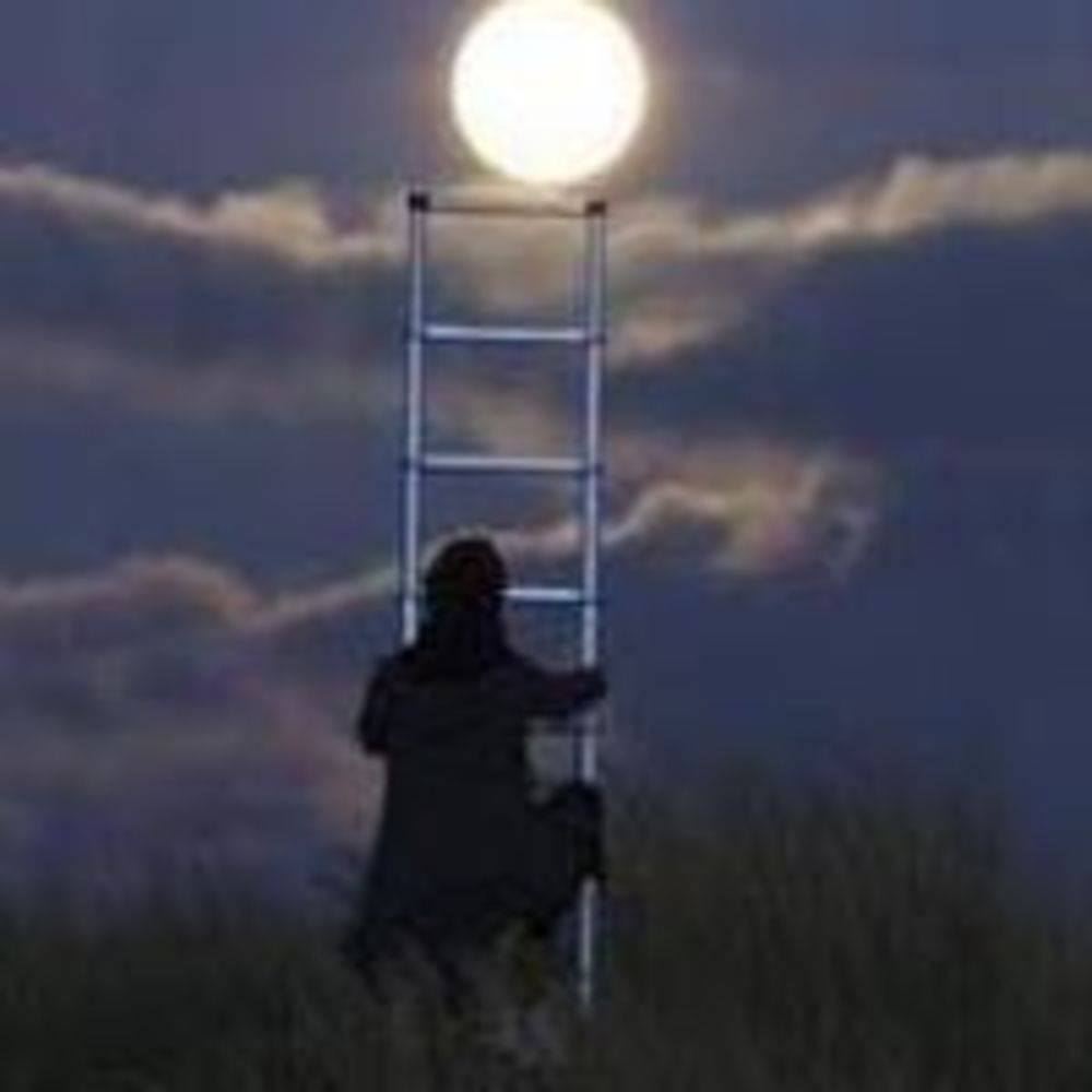 Meet your Posher, Norma