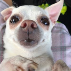 Meet your Posher, Stephanye