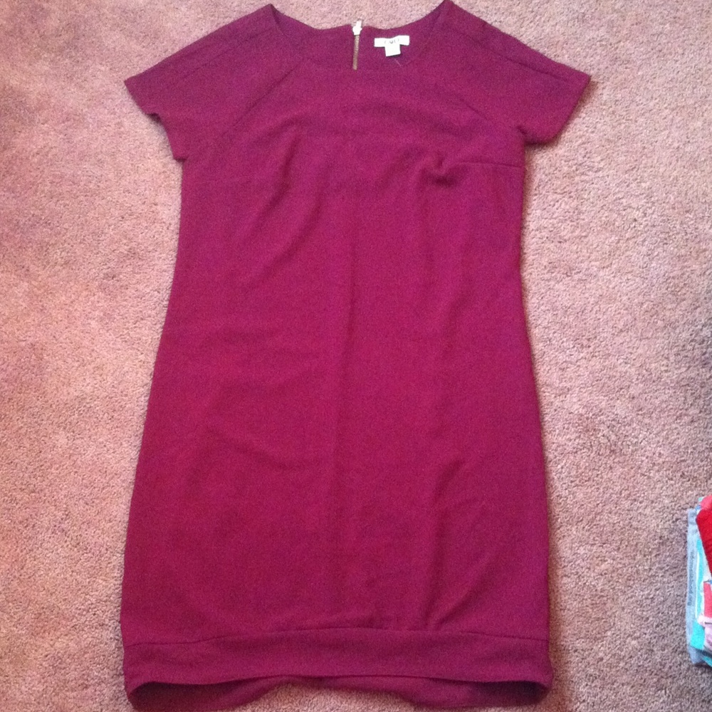 Knee Length Dress