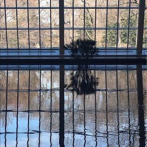 Meet your Posher, Anannya