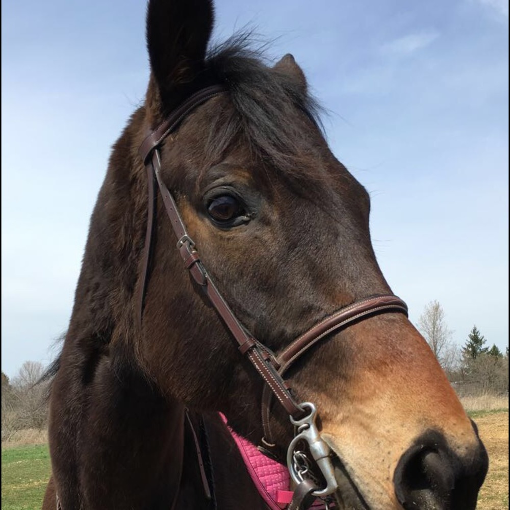 Meet your Posher, Claire