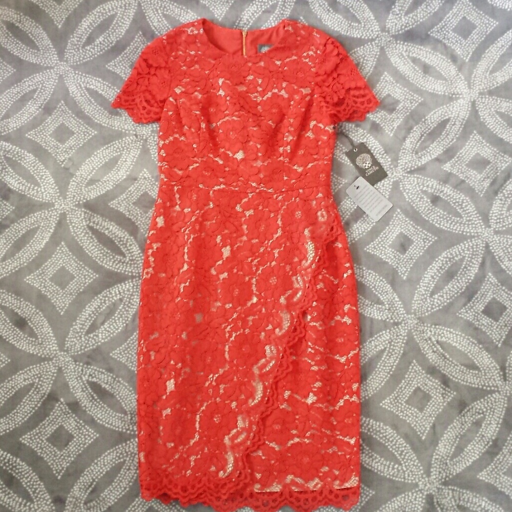 Vince Camuto Lace Dress