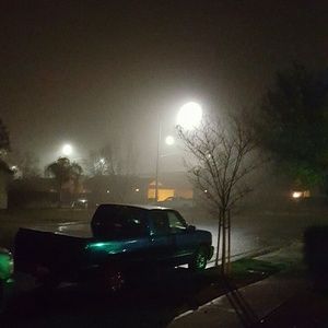 Meet your Posher, Bailey