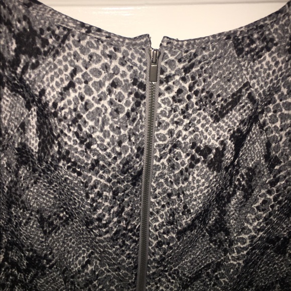 Ann Taylor Python Dress - Picture 4 of 5