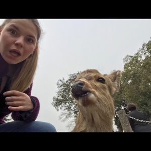 Meet your Posher, Kim