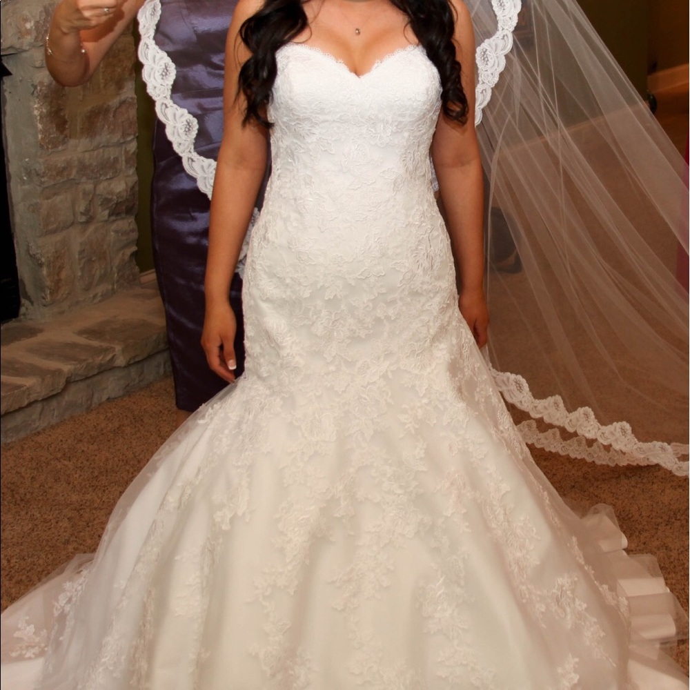 Wedding Dress Allure Bridal and Cathedral Veil