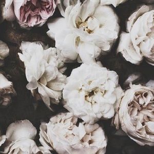 Meet your Posher, Eve