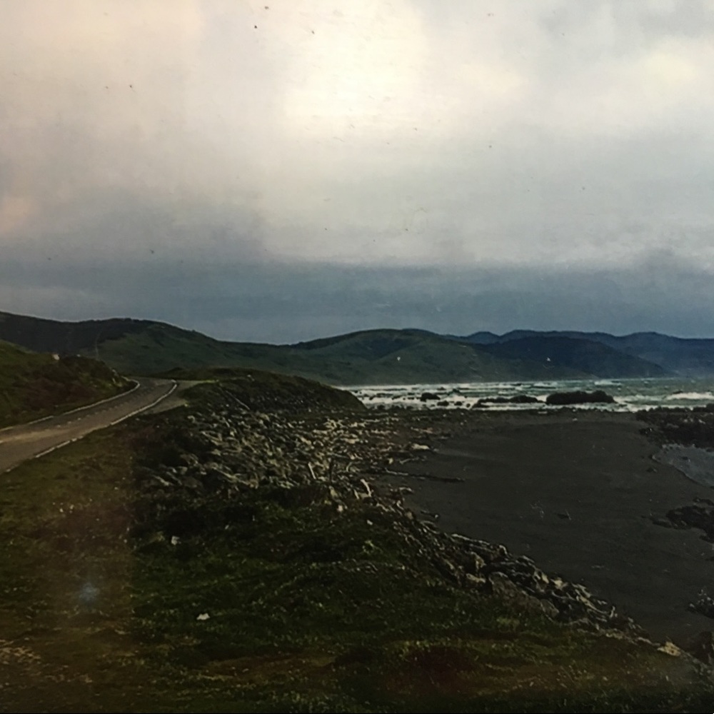 Meet your Posher, Edelia