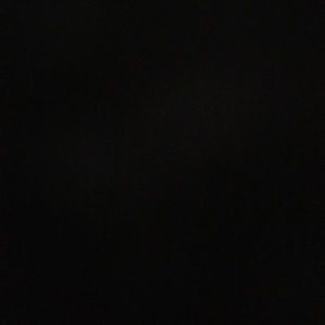 Meet your Posher, Sydnei