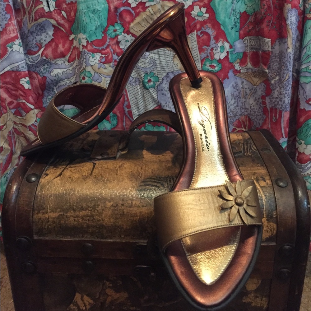 Dezario Bronze Shoes