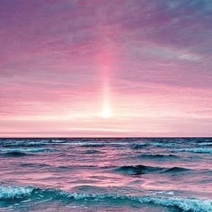 Meet your Posher, Allie