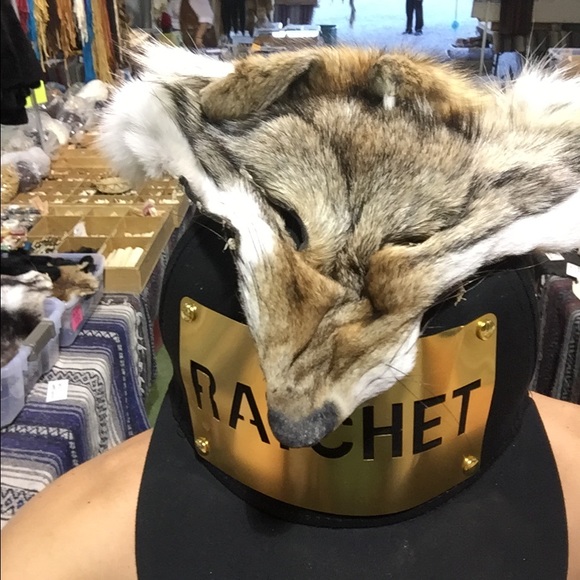 Meet your Posher, Bradley - Picture 4 of 4