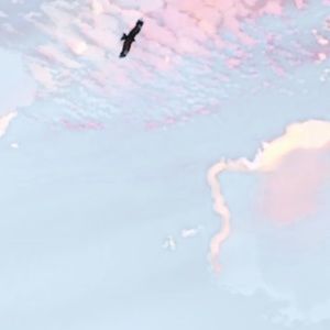 Meet your Posher, May