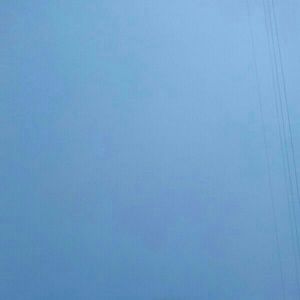 Meet your Posher, Donnie