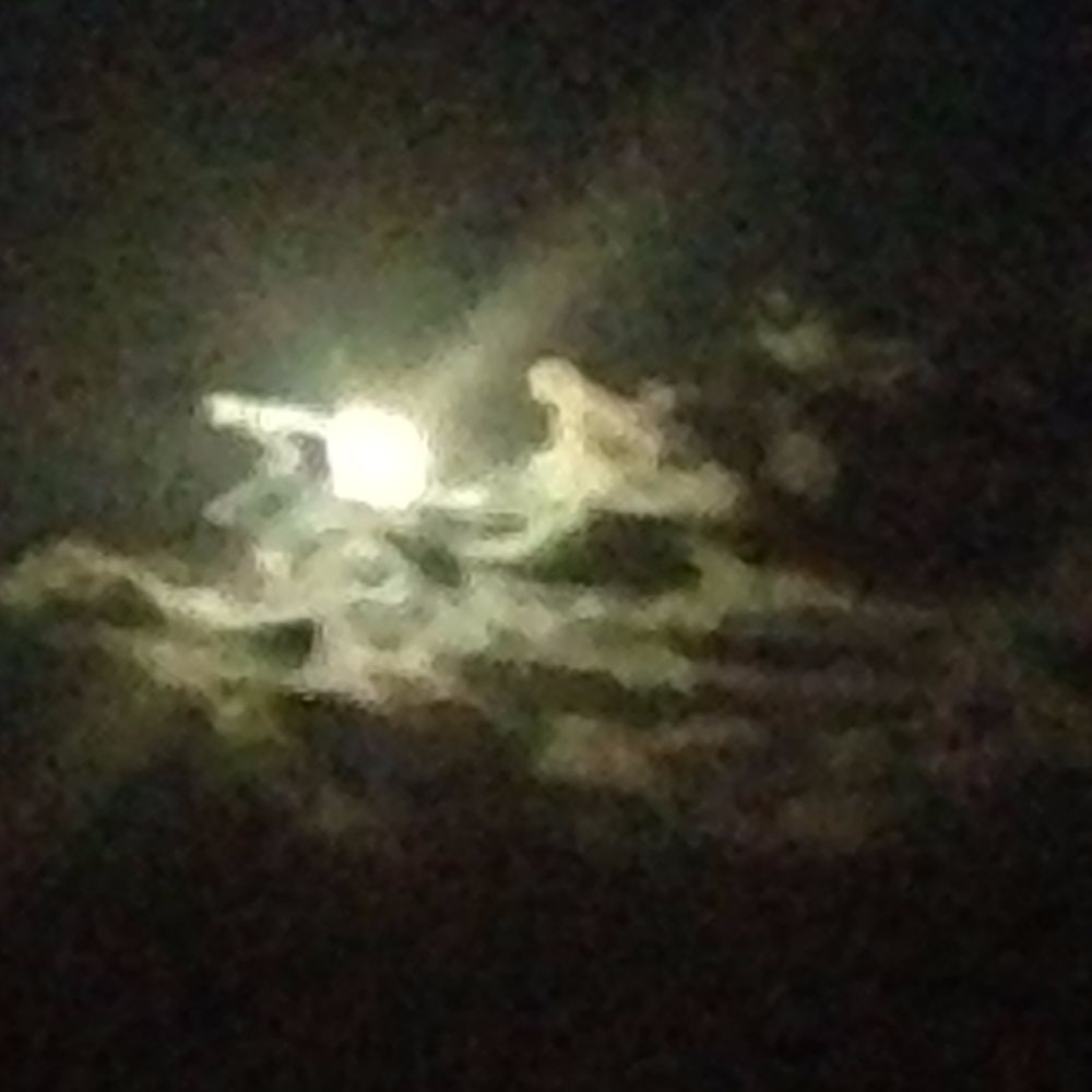 Meet your Posher, Tatijana